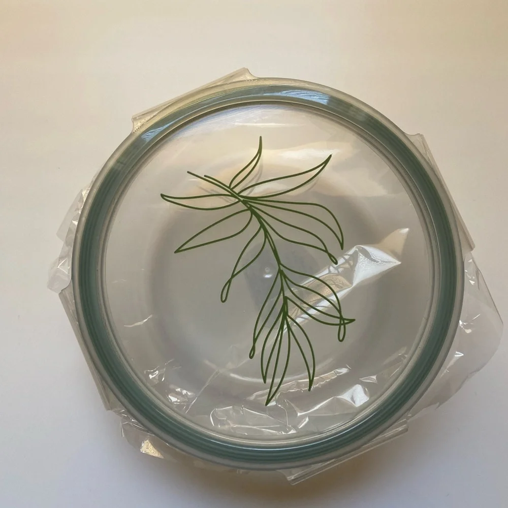 🍃🍃FOOD STORAGE CONTAINER GLASS PLASTIC LID NEW Leaf Motif